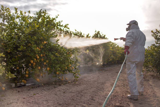 Best Pest Prevention Services  in Cornwells Heights, PA