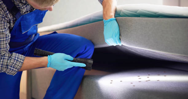 Reliable Cornwells Heights, PA Pest Control Solutions