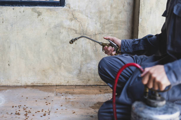 Best Wasp Removal Services  in Cornwells Heights, PA